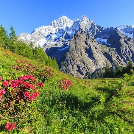Apartment Montagne E Coccole - Happy *